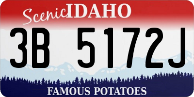 ID license plate 3B5172J