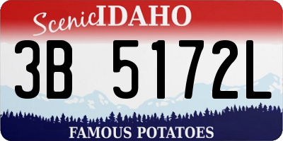 ID license plate 3B5172L