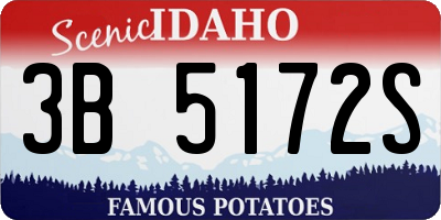 ID license plate 3B5172S