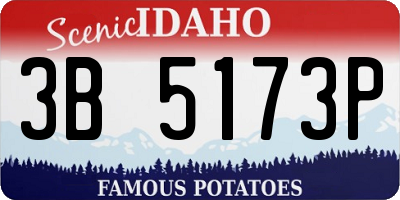 ID license plate 3B5173P