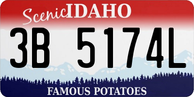 ID license plate 3B5174L