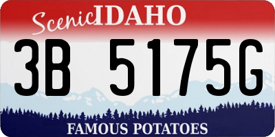 ID license plate 3B5175G