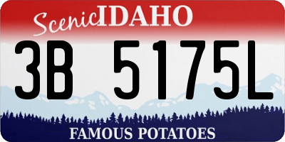 ID license plate 3B5175L