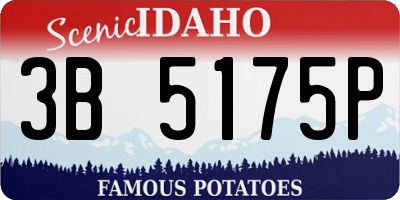 ID license plate 3B5175P