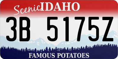 ID license plate 3B5175Z