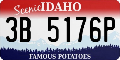 ID license plate 3B5176P