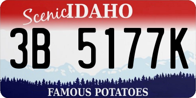 ID license plate 3B5177K