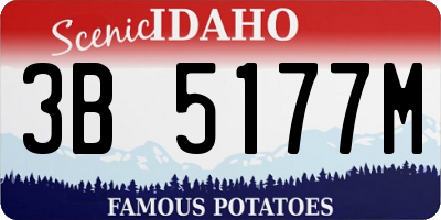 ID license plate 3B5177M