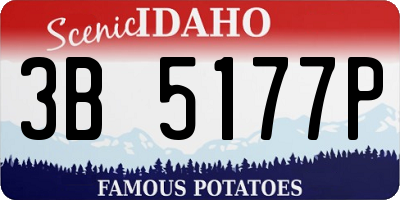 ID license plate 3B5177P