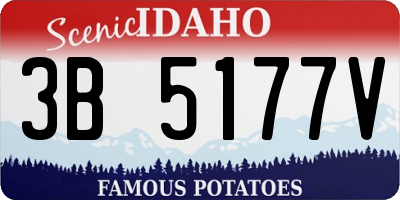 ID license plate 3B5177V