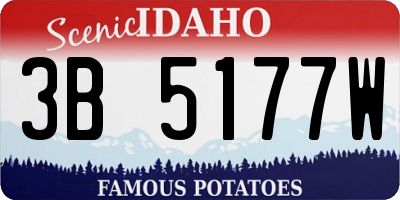 ID license plate 3B5177W