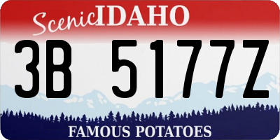 ID license plate 3B5177Z