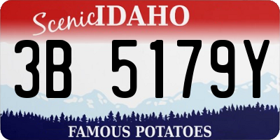 ID license plate 3B5179Y