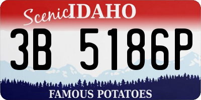 ID license plate 3B5186P