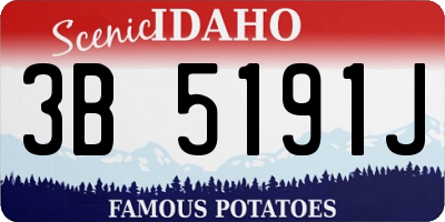 ID license plate 3B5191J