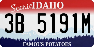 ID license plate 3B5191M