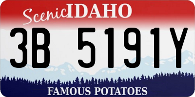 ID license plate 3B5191Y