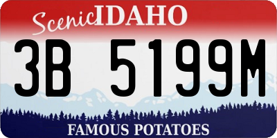 ID license plate 3B5199M