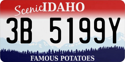 ID license plate 3B5199Y