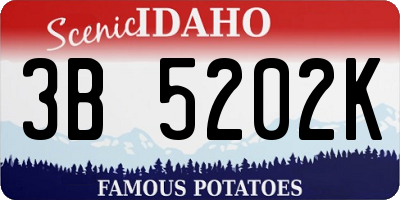 ID license plate 3B5202K