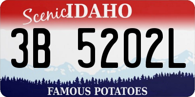 ID license plate 3B5202L