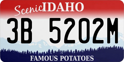 ID license plate 3B5202M