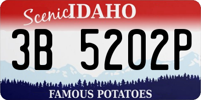 ID license plate 3B5202P