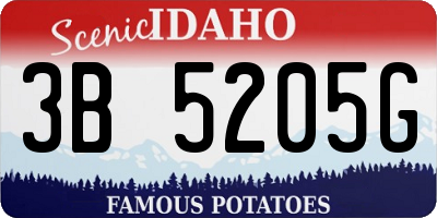 ID license plate 3B5205G