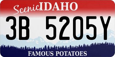 ID license plate 3B5205Y