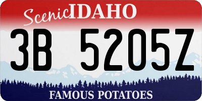 ID license plate 3B5205Z