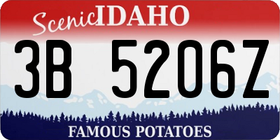 ID license plate 3B5206Z