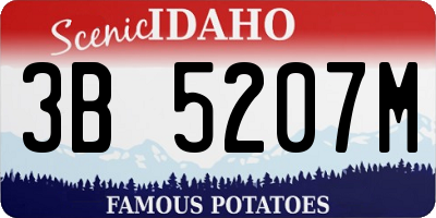 ID license plate 3B5207M