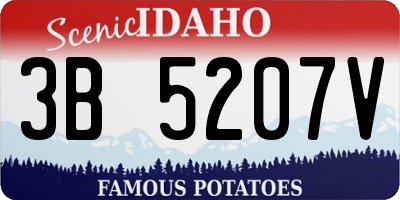 ID license plate 3B5207V