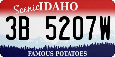 ID license plate 3B5207W