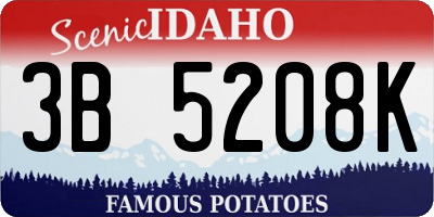 ID license plate 3B5208K
