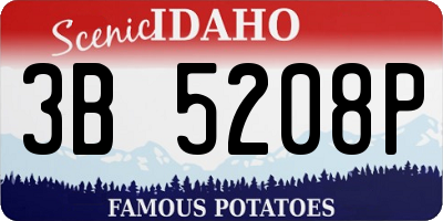 ID license plate 3B5208P