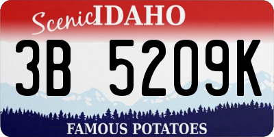 ID license plate 3B5209K
