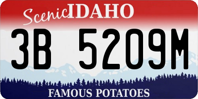 ID license plate 3B5209M