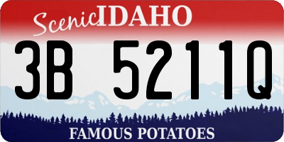 ID license plate 3B5211Q