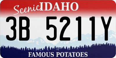 ID license plate 3B5211Y