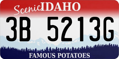 ID license plate 3B5213G