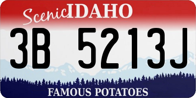 ID license plate 3B5213J