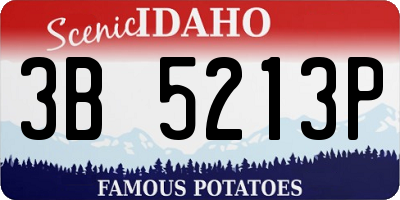 ID license plate 3B5213P