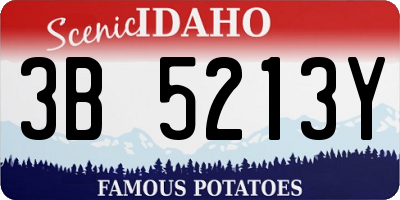 ID license plate 3B5213Y