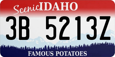 ID license plate 3B5213Z