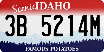 ID license plate 3B5214M