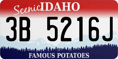 ID license plate 3B5216J