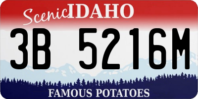 ID license plate 3B5216M