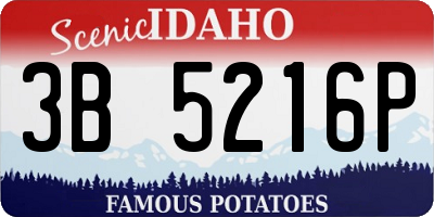 ID license plate 3B5216P