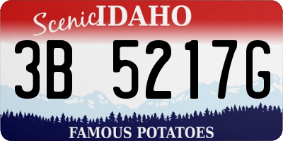 ID license plate 3B5217G